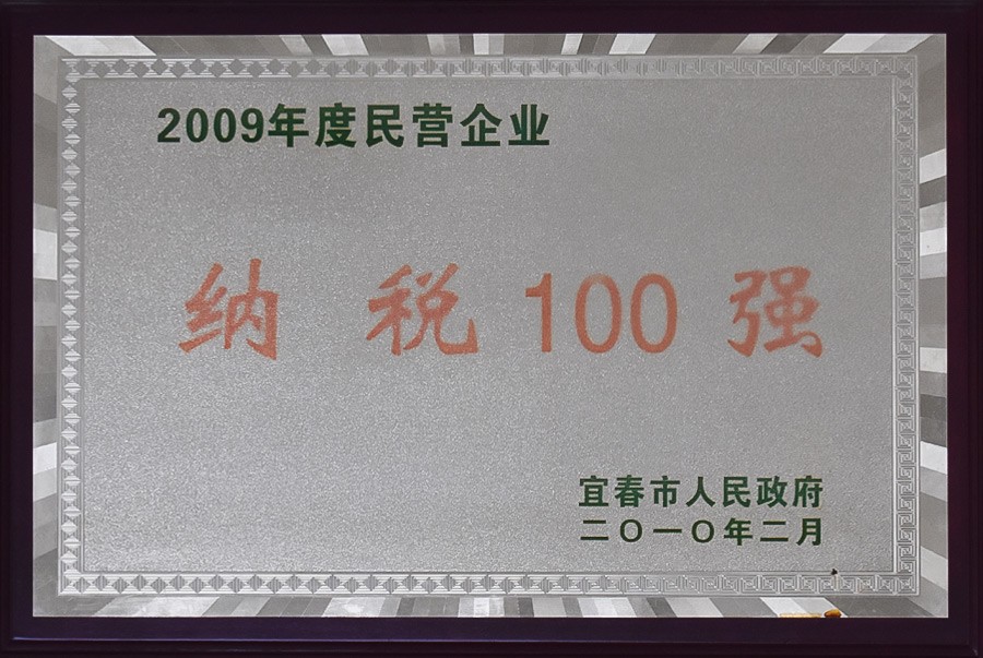 2009年度民(mín)营企业纳税100强