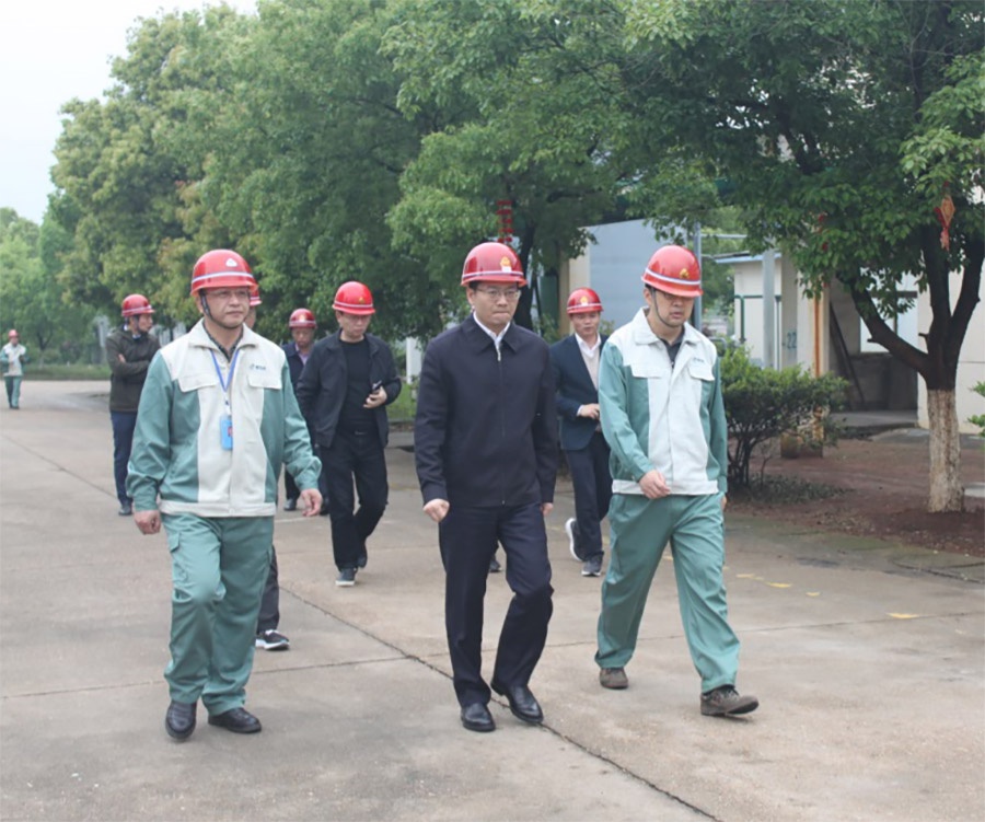 樟树市委书记尹志(zhì)来、陪同领导一行来厂指导工作